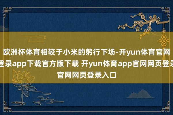欧洲杯体育相较于小米的躬行下场-开yun体育官网入口登录app下载官方版下载 开yun体育app官网网页登录入口