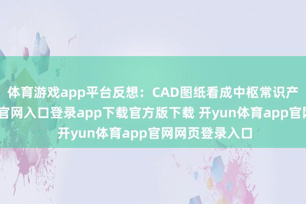 体育游戏app平台反想：CAD图纸看成中枢常识产权-开yun体育官网入口登录app下载官方版下载 开yun体育app官网网页登录入口