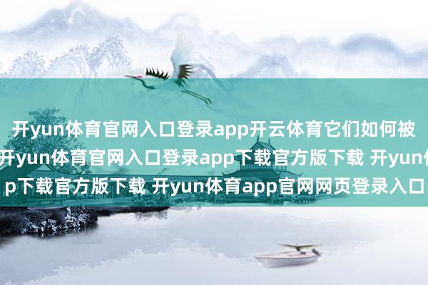 开yun体育官网入口登录app开云体育它们如何被其所处的社会所塑造-开yun体育官网入口登录app下载官方版下载 开yun体育app官网网页登录入口
