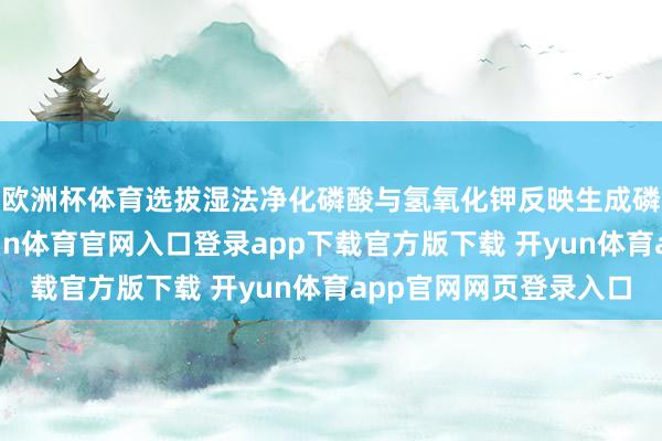 欧洲杯体育选拔湿法净化磷酸与氢氧化钾反映生成磷酸二氢钾料浆-开yun体育官网入口登录app下载官方版下载 开yun体育app官网网页登录入口