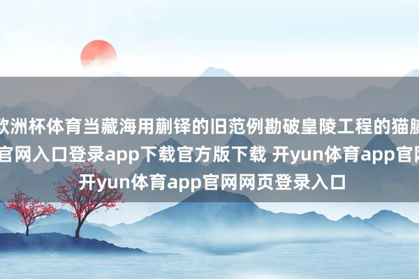 欧洲杯体育当藏海用蒯铎的旧范例勘破皇陵工程的猫腻时-开yun体育官网入口登录app下载官方版下载 开yun体育app官网网页登录入口