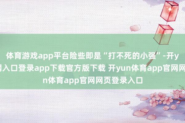 体育游戏app平台险些即是“打不死的小强”-开yun体育官网入口登录app下载官方版下载 开yun体育app官网网页登录入口