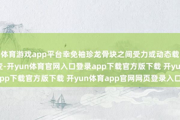体育游戏app平台幸免袖珍龙骨块之间受力或动态载荷下发生不成控的形变-开yun体育官网入口登录app下载官方版下载 开yun体育app官网网页登录入口