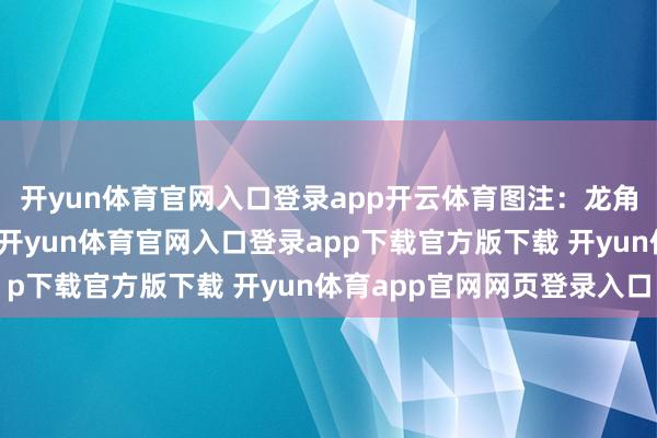 开yun体育官网入口登录app开云体育图注：龙角散正仿居品对比最终-开yun体育官网入口登录app下载官方版下载 开yun体育app官网网页登录入口