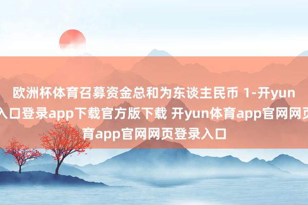 欧洲杯体育召募资金总和为东谈主民币 1-开yun体育官网入口登录app下载官方版下载 开yun体育app官网网页登录入口