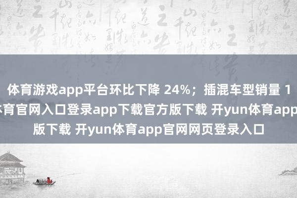 体育游戏app平台环比下降 24%；插混车型销量 12.1 万辆-开yun体育官网入口登录app下载官方版下载 开yun体育app官网网页登录入口