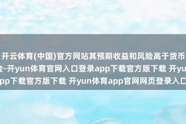 开云体育(中国)官方网站其预期收益和风险高于货币市集基金和债券型基金-开yun体育官网入口登录app下载官方版下载 开yun体育app官网网页登录入口