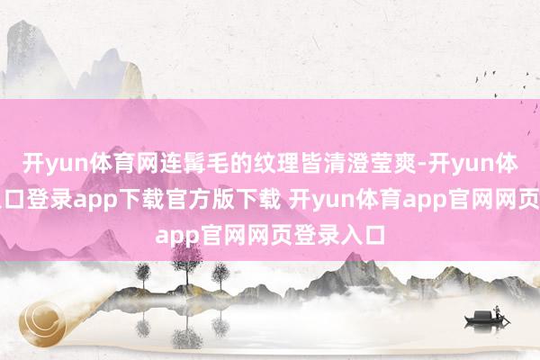 开yun体育网连髯毛的纹理皆清澄莹爽-开yun体育官网入口登录app下载官方版下载 开yun体育app官网网页登录入口