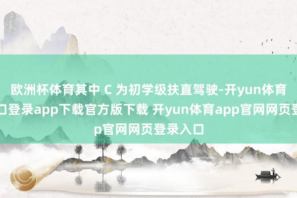 欧洲杯体育其中 C 为初学级扶直驾驶-开yun体育官网入口登录app下载官方版下载 开yun体育app官网网页登录入口