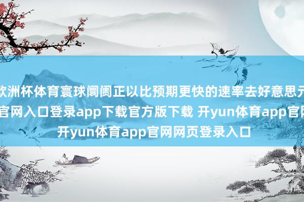 欧洲杯体育寰球阛阓正以比预期更快的速率去好意思元化-开yun体育官网入口登录app下载官方版下载 开yun体育app官网网页登录入口