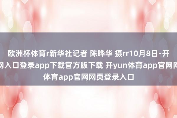 欧洲杯体育r新华社记者 陈晔华 摄rr10月8日-开yun体育官网入口登录app下载官方版下载 开yun体育app官网网页登录入口