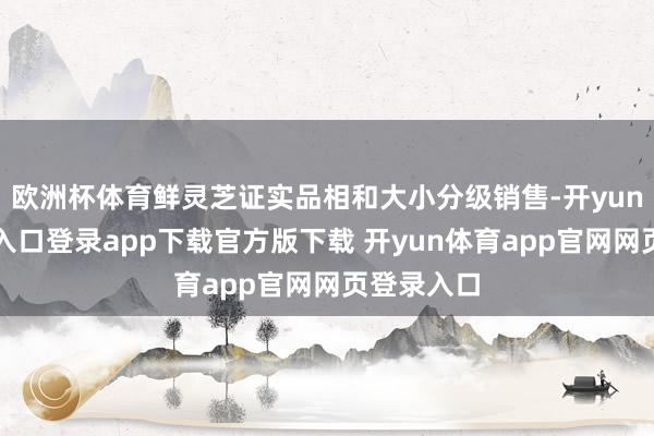 欧洲杯体育鲜灵芝证实品相和大小分级销售-开yun体育官网入口登录app下载官方版下载 开yun体育app官网网页登录入口