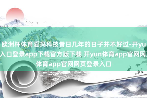 欧洲杯体育爱玛科技昔日几年的日子并不好过-开yun体育官网入口登录app下载官方版下载 开yun体育app官网网页登录入口